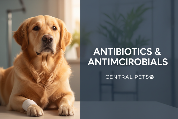 Antibiotics & Antimicrobials