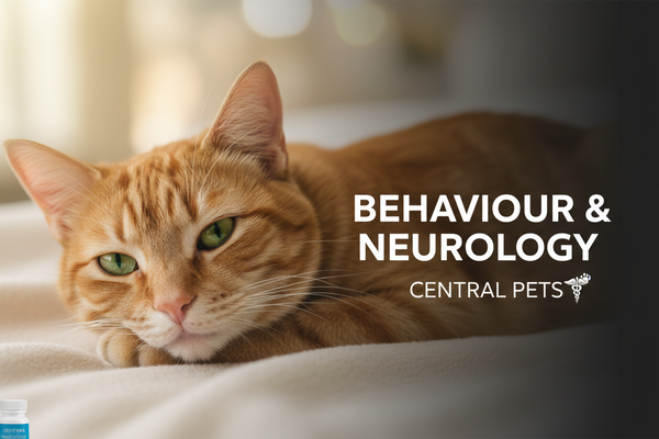 Behaviour & Neurology