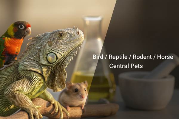 Bird / Reptile / Rodent / Horse