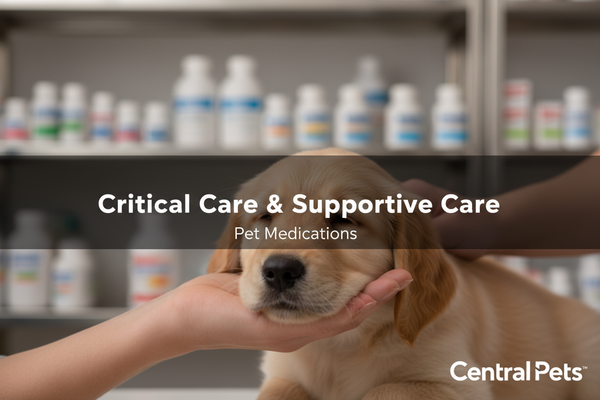 Critical Care & Supportive Care
