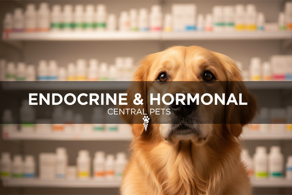 Endocrine & Hormonal