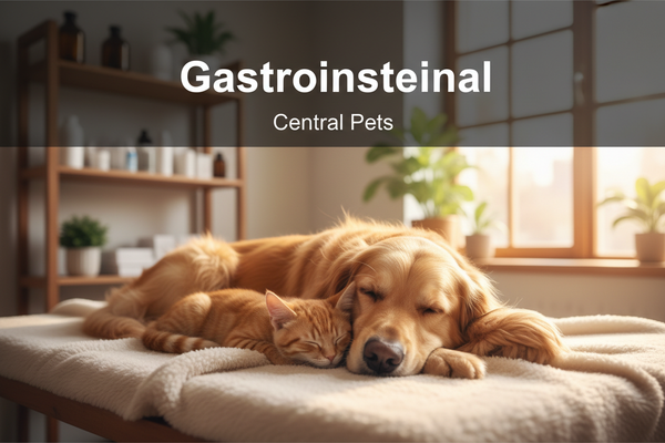Gastrointestinal